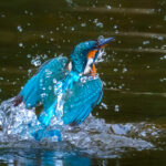 _DSC6871-1-web933x1400U80